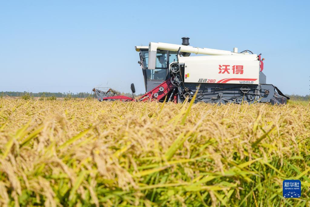 澳门网页试玩